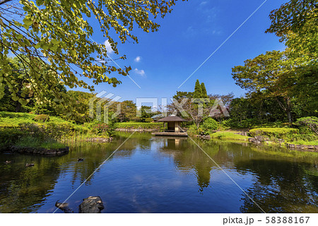 柏の葉公園の日本庭園 柏の葉公園の日本庭園 58388167