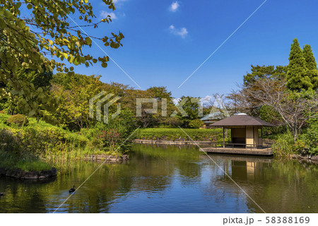 柏の葉公園の日本庭園 58388169