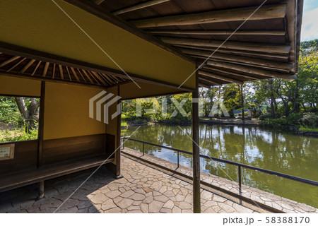 柏の葉公園の日本庭園 柏の葉公園の日本庭園 58388170