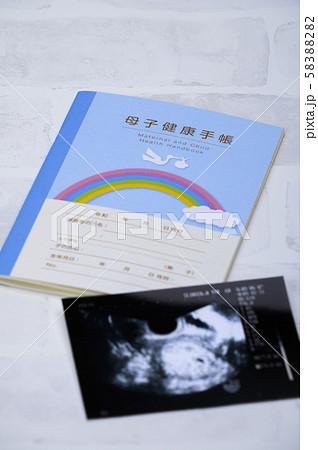 妊娠　母子手帳　エコー写真【手帳ピント】 58388282