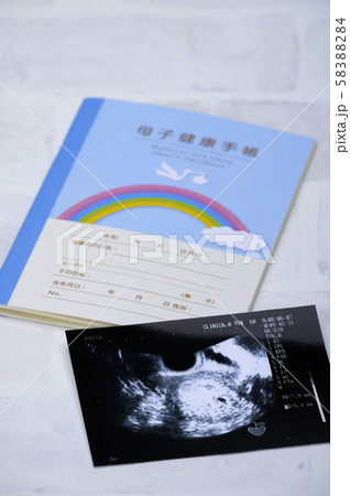 妊娠　母子手帳　エコー写真【手前ピント】 58388284