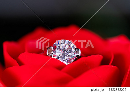 Diamond wedding rings on red roses 58388305