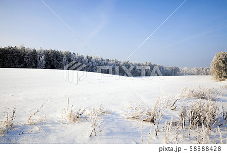 winter landscape with snow 58388428