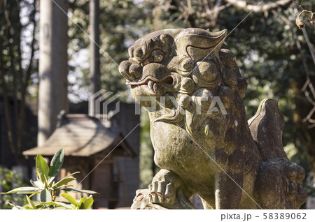 神社狛犬 神社狛犬 58389062