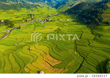 Aerial top view of paddy rice terraces, green Aerial top view of paddy rice terraces, green 58389237