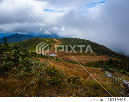 尾瀬御池熊沢田代池塘 58389468