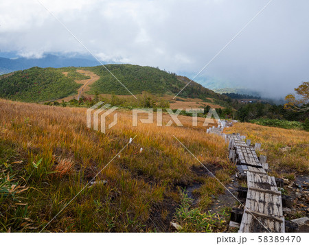 尾瀬御池熊沢田代池塘 58389470