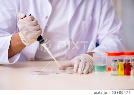 Young male chemist working in the lab 58389477