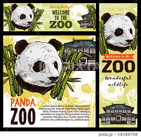 Animal zoo, panda. Pagoda, bamboo leaves Animal zoo, panda. Pagoda, bamboo leaves 58389708