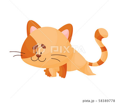 Cartoon Cat Yogi Bent And Put Forward One Leg のイラスト素材 5778