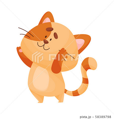 Cartoon cat yogi stands raising his hands up. Vector illustration. 58389798