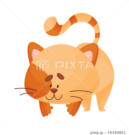 Cartoon cat yogi stands on four legs. Vector illustration. Cartoon cat yogi stands on four legs. Vector illustration. 58389801