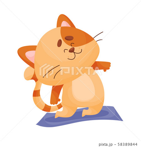 Cartoon Cat Yogi Kneeling On A Blue Mat Vector のイラスト素材 5844