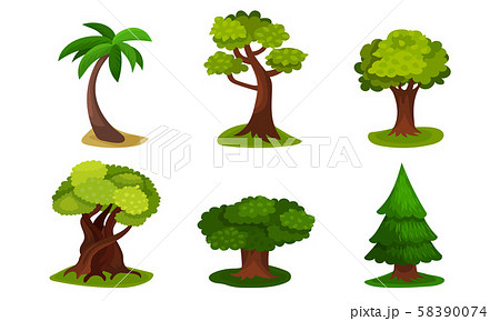 Six Green Trees Of Different Design Vector Illustrations Set Six Green Trees Of Different Design Vector Illustrations Set 58390074