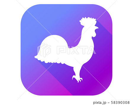 Rooster flat icon with long shadow. Chicken Rooster flat icon with long shadow. Chicken 58390308