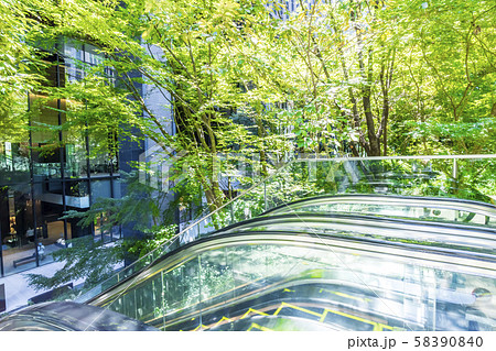 緑の多いオフィスビルのエントランス 58390840