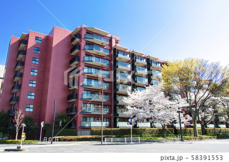 緑とマンションのある都市風景 58391553