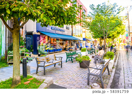 自由が丘 九品仏川緑道 自由が丘 九品仏川緑道 58391759