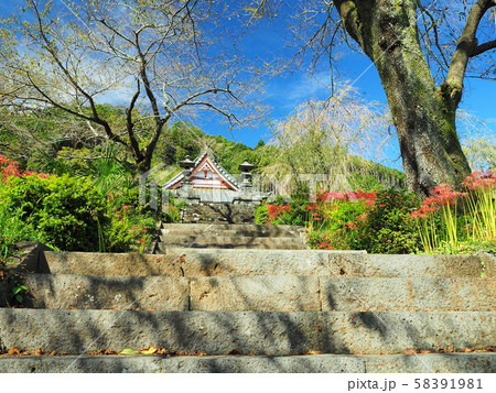 興徳寺　彼岸花のある景色 58391981