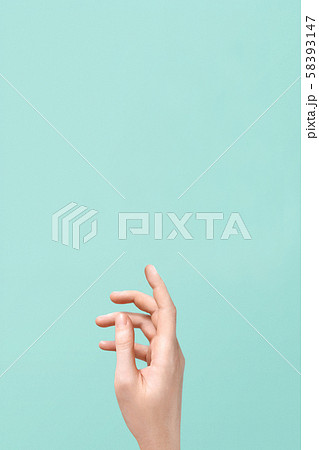 Female hand. hand brush isolated 58393147