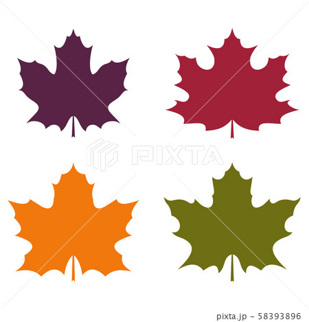 Colorful leaves of canadian maple. 58393896