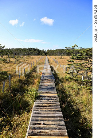 落石岬湿原の木道 58394268