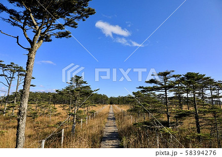 落石岬湿原の木道 落石岬湿原の木道 58394276