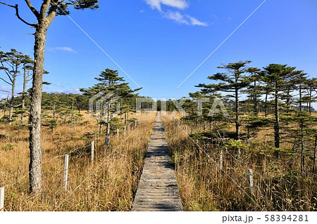 落石岬湿原の木道 58394281
