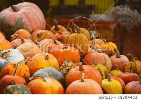 Autumn background with variety pumpkins at farmers market. 58394453