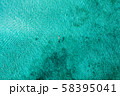 Top down view of a girl swimming in a lagoon 58395041