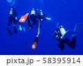 スキューバダイビング 58395914