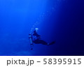 スキューバダイビング 58395915