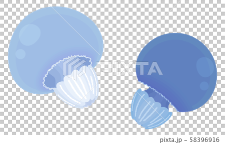 くらげイラスト_カラージェリーフィッシュ_2匹 58396916