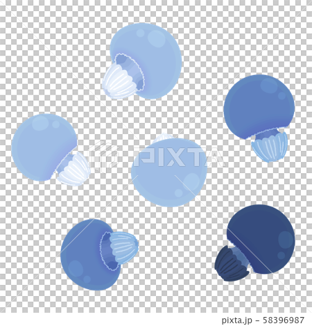 水母illustration_Color水母_6 58396987