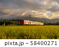 JR筑肥線の列車と夕景 58400271