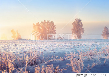 Sunny winter morning. Beautiful winter scene in Sunny winter morning. Beautiful winter scene in 58400634