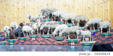 羊ショー 58400819