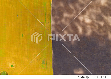 Aerial top view drone photography of a land with sown green fields in countryside Aerial top view drone photography of a land with sown green fields in countryside 58401318