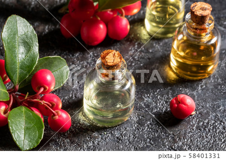 A bottle of wintergreen essential oil with fresh wintergreen berries 58401331