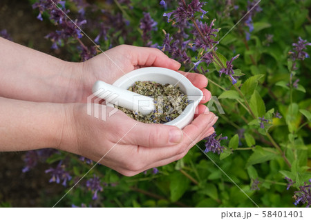 Woman holds a mortar of medicinal herbs 58401401