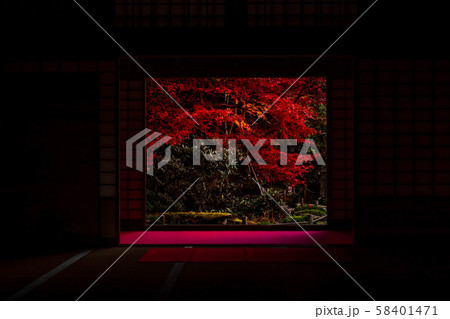 湖東三山 金剛輪寺　紅葉 58401471