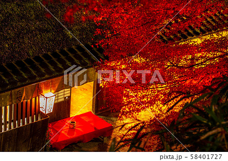 京都 奥嵯峨野 つたや 紅葉 58401727
