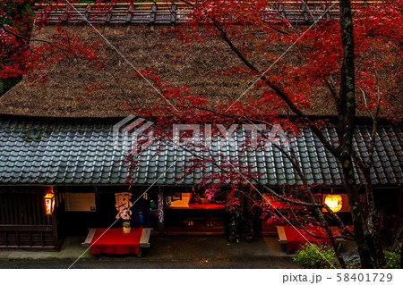京都 奥嵯峨野 つたや 紅葉 京都 奥嵯峨野 つたや 紅葉 58401729