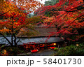 京都 奥嵯峨野 つたや 紅葉 58401730