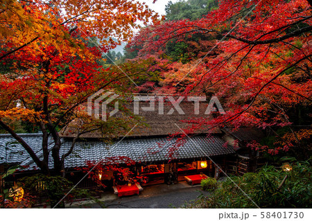 京都 奥嵯峨野 つたや 紅葉 58401730