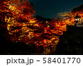 秋の清水寺 夜景 58401770