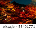 秋の清水寺 夜景 58401771