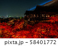 秋の清水寺 夜景 58401772