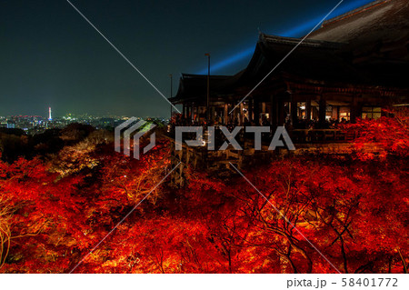 秋の清水寺 夜景 58401772