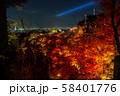 秋の清水寺 夜景 58401776
